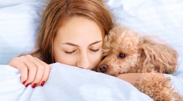 Faz mal dormir com cachorro na cama?